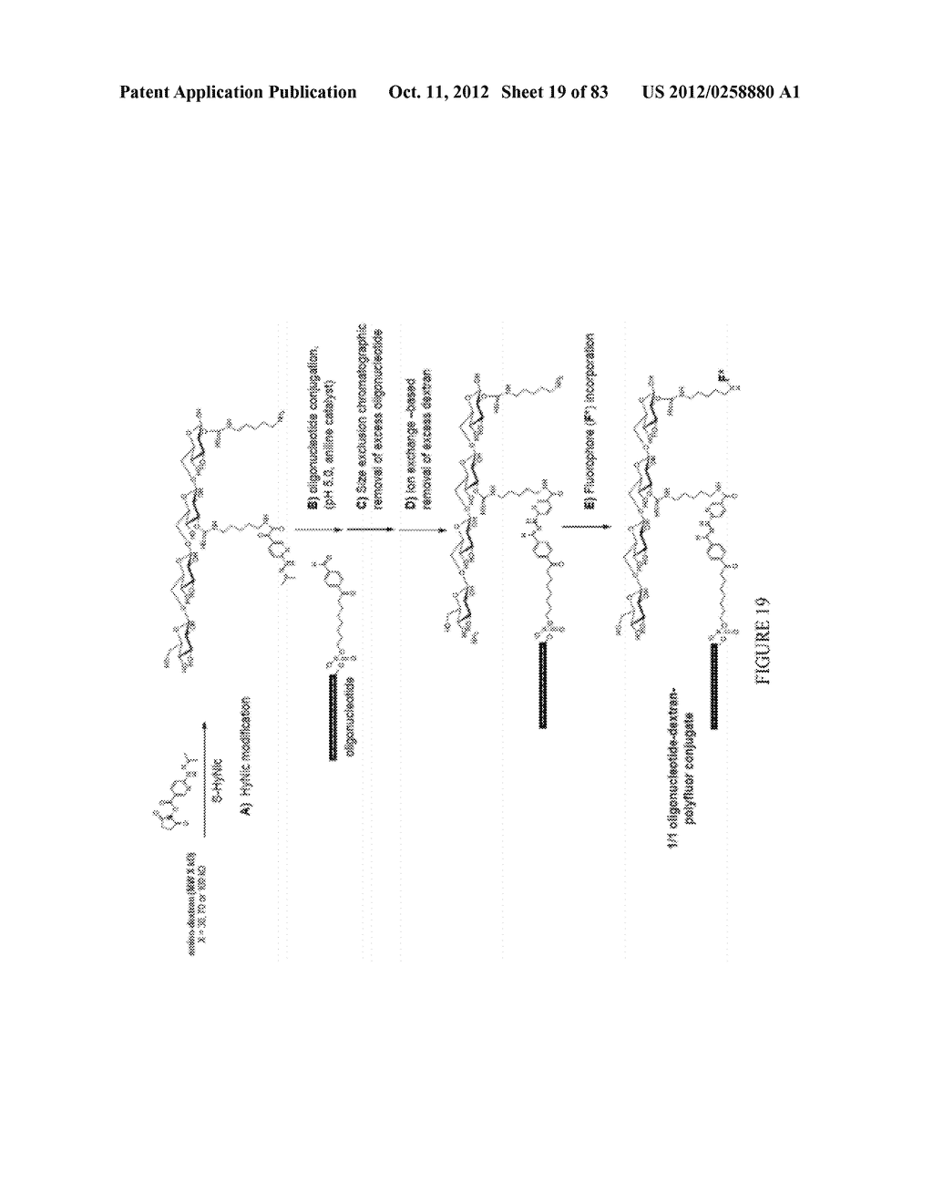 Methods and/or Use of Oligonucleotide Conjugates for Assays and Flow     Cytometry Detections - diagram, schematic, and image 20