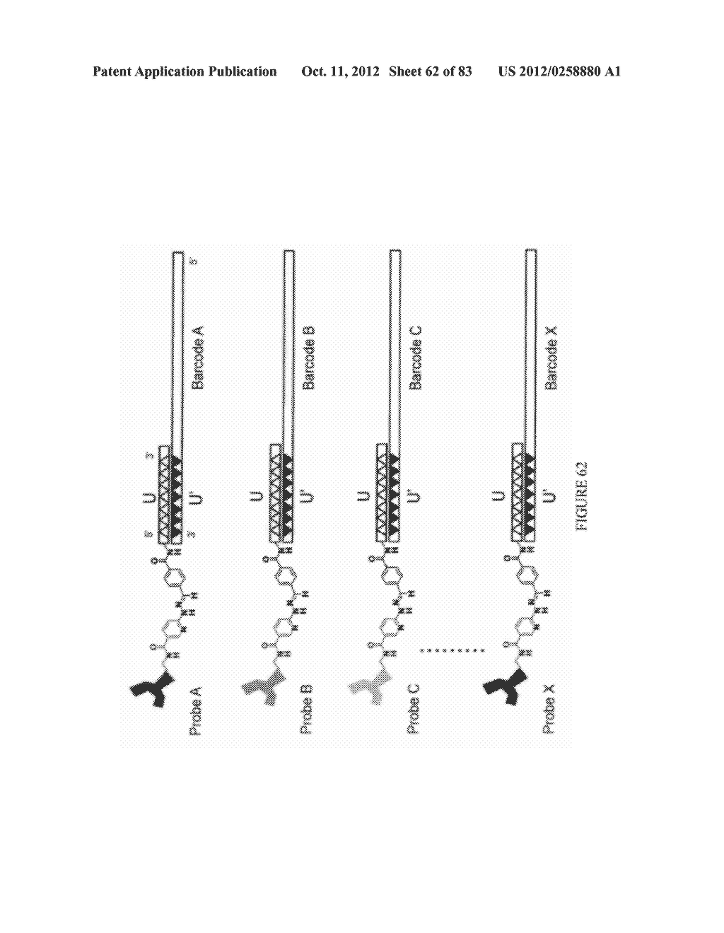 Methods and/or Use of Oligonucleotide Conjugates for Assays and Flow     Cytometry Detections - diagram, schematic, and image 63