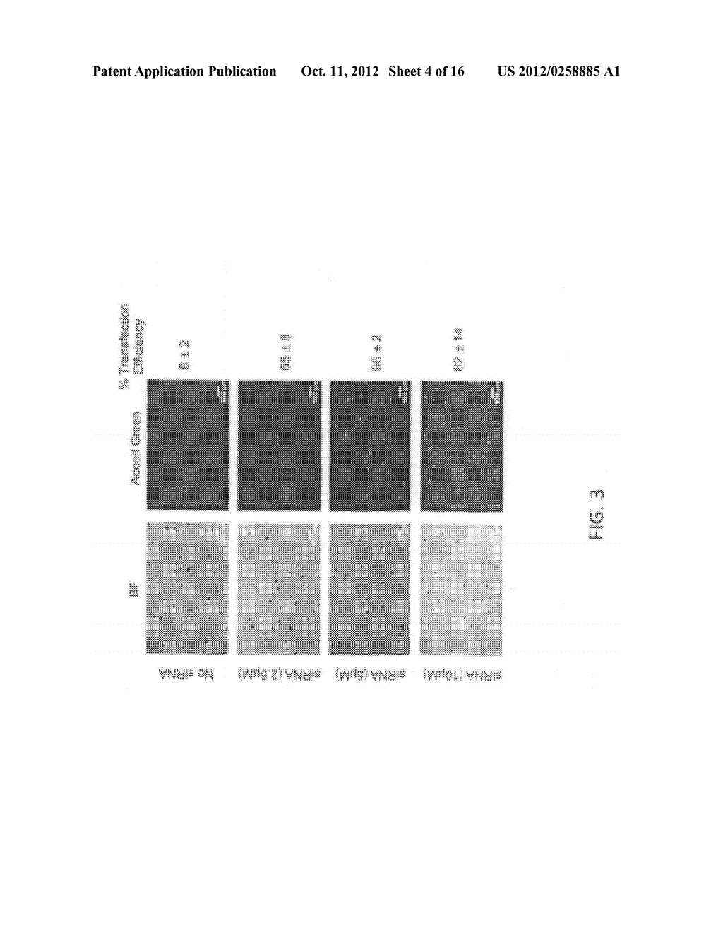 Systems and Methods for Individualized Functional Genomic Profiling     Related to Cancer Cell Growth - diagram, schematic, and image 05