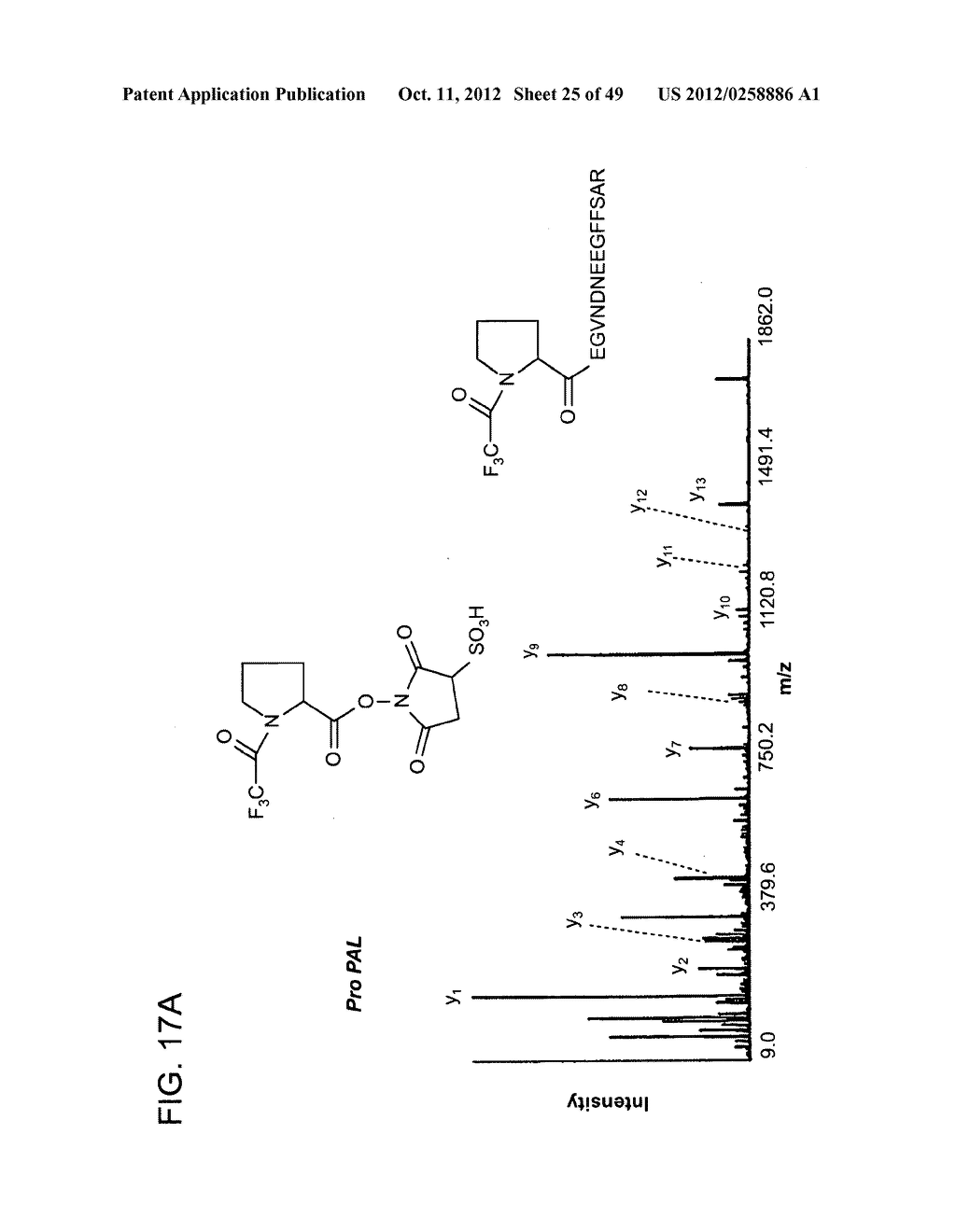 PROTECTED AMINE LABELS AND USE IN DETECTING ANALYTES - diagram, schematic, and image 26