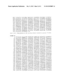 CC2D2A GENE MUTATIONS ASSOCIATED WITH JOUBERT SYNDROME AND DIAGNOSTIC     METHODS FOR IDENTIFYING THE SAME diagram and image