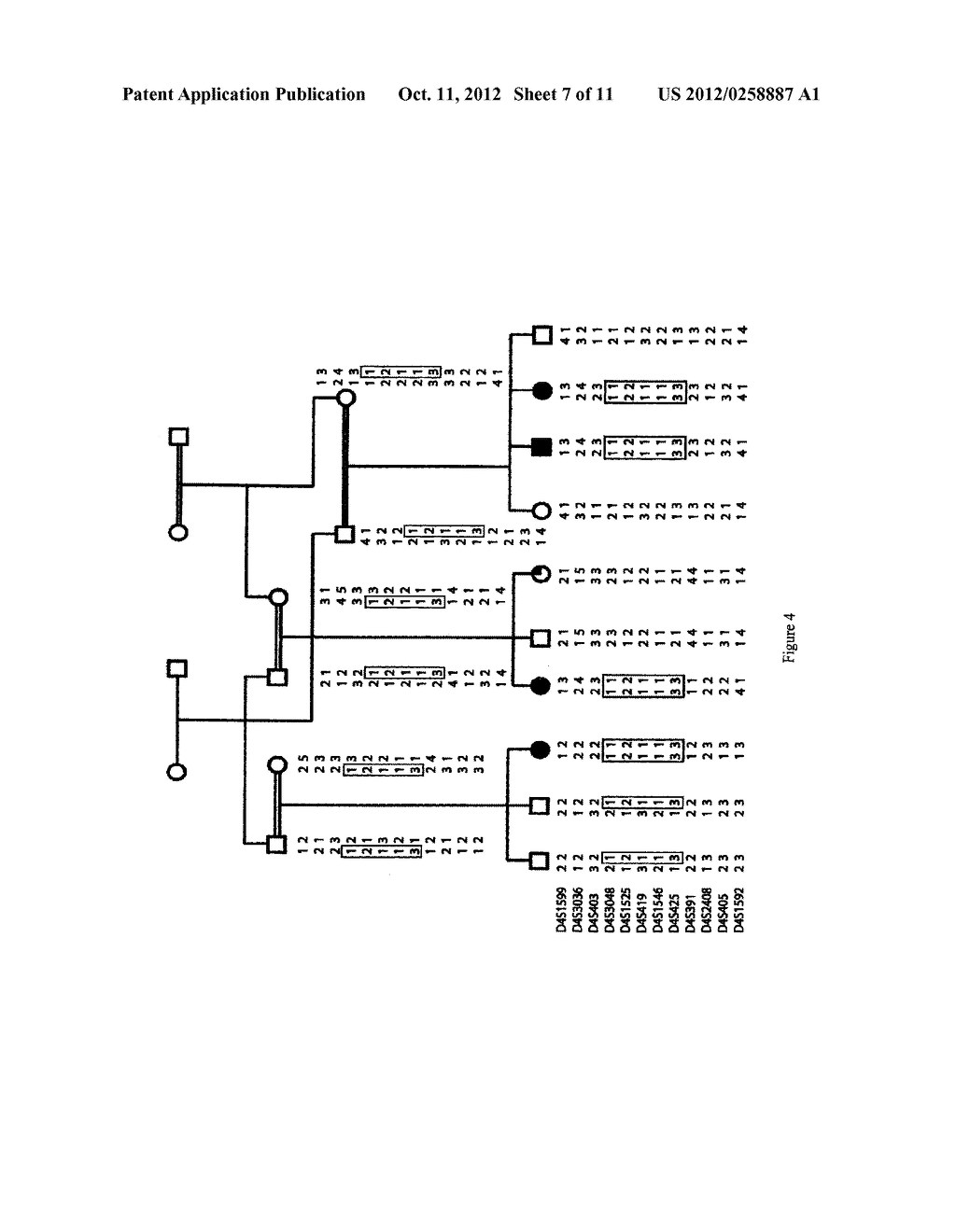 CC2D2A GENE MUTATIONS ASSOCIATED WITH JOUBERT SYNDROME AND DIAGNOSTIC     METHODS FOR IDENTIFYING THE SAME - diagram, schematic, and image 08