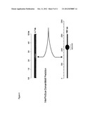 CC2D2A GENE MUTATIONS ASSOCIATED WITH JOUBERT SYNDROME AND DIAGNOSTIC     METHODS FOR IDENTIFYING THE SAME diagram and image