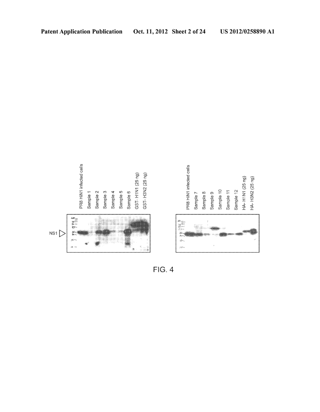 NS1-NP Diagnostics of Influenza Virus Infection - diagram, schematic, and image 03