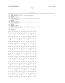 OLIGOADENYLATE SYNTHETASE (OAS) diagram and image