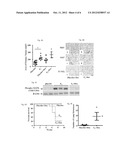 Targeting Estrogen Receptors in the Treatment of Lymphangioleiomyomatosis diagram and image