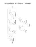 Enzymatic Production or Chemical Synthesis and Uses for 5,7-Dienes and UVB     Conversion Products Thereof diagram and image