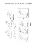 Enzymatic Production or Chemical Synthesis and Uses for 5,7-Dienes and UVB     Conversion Products Thereof diagram and image