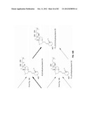 Enzymatic Production or Chemical Synthesis and Uses for 5,7-Dienes and UVB     Conversion Products Thereof diagram and image