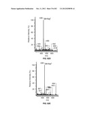 Enzymatic Production or Chemical Synthesis and Uses for 5,7-Dienes and UVB     Conversion Products Thereof diagram and image