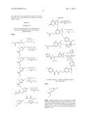 DISUBSTITUTED HETEROARYL-FUSED PYRIDINES diagram and image