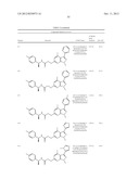 DISUBSTITUTED HETEROARYL-FUSED PYRIDINES diagram and image