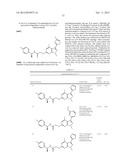 DISUBSTITUTED HETEROARYL-FUSED PYRIDINES diagram and image