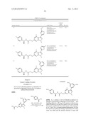 DISUBSTITUTED HETEROARYL-FUSED PYRIDINES diagram and image