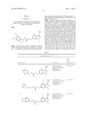 DISUBSTITUTED HETEROARYL-FUSED PYRIDINES diagram and image