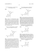 DISUBSTITUTED HETEROARYL-FUSED PYRIDINES diagram and image