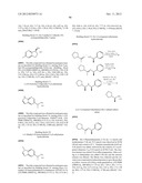 DISUBSTITUTED HETEROARYL-FUSED PYRIDINES diagram and image