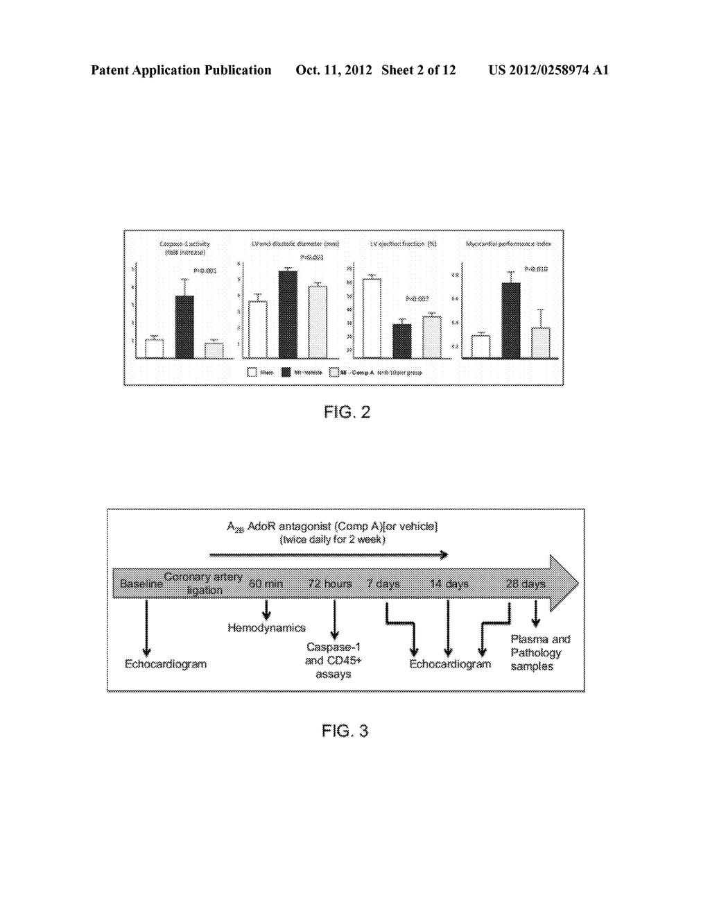 USE OF A2B ADENOSINE RECEPTOR ANTAGONISTS FOR TREATING HEART FAILURE AND     ARRHYTHMIA IN POST-MYOCARDIAL INFARCTION PATIENTS - diagram, schematic, and image 03