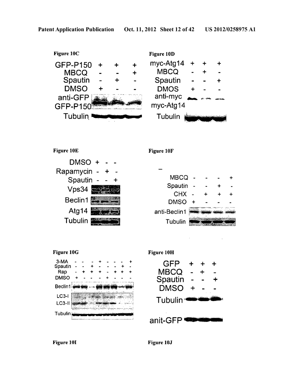 Potent Small Molecule Inhibitors of Autophagy, and Methods of Use Thereof - diagram, schematic, and image 13