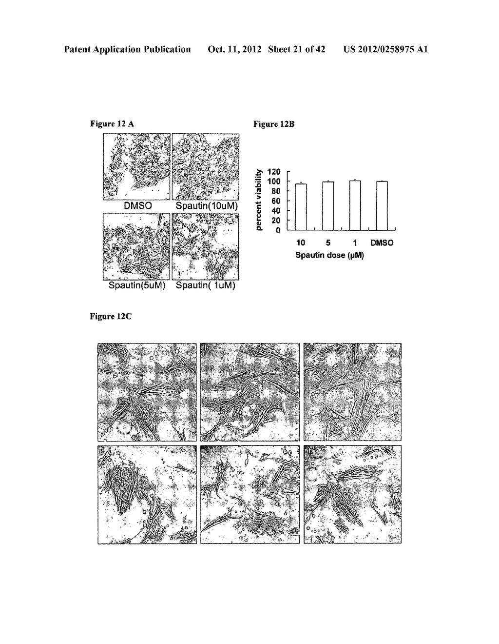 Potent Small Molecule Inhibitors of Autophagy, and Methods of Use Thereof - diagram, schematic, and image 22