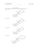 New Indolinone Protein Kinase Inhibitors diagram and image