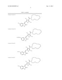 New Indolinone Protein Kinase Inhibitors diagram and image