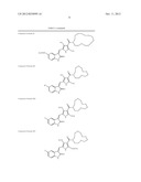 New Indolinone Protein Kinase Inhibitors diagram and image