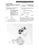 HUMAN PAPILLOMA VIRUS PROBES FOR THE DIAGNOSIS OF CANCER diagram and image