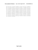 HUMAN PAPILLOMA VIRUS PROBES FOR THE DIAGNOSIS OF CANCER diagram and image