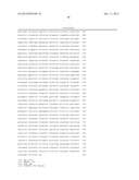 HUMAN PAPILLOMA VIRUS PROBES FOR THE DIAGNOSIS OF CANCER diagram and image