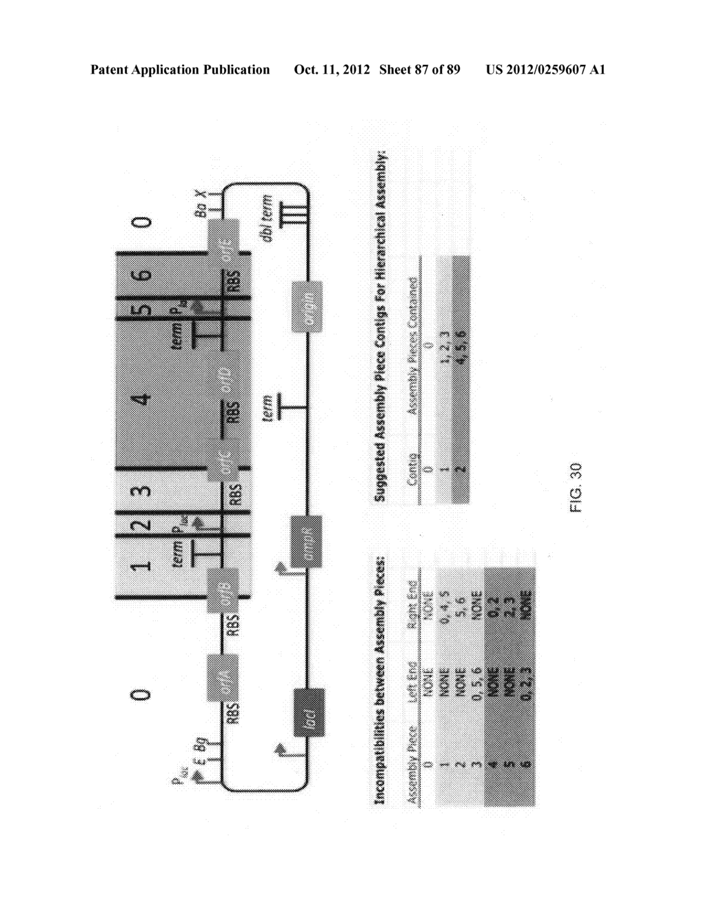 Scar-Less Multi-Part DNA Assembly Design Automation - diagram, schematic, and image 88