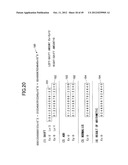 ARITHMETIC CIRCUIT, ARITHMETIC PROCESSING APPARATUS AND METHOD OF     CONTROLLING ARITHMETIC CIRCUIT diagram and image