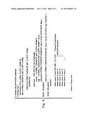 BIOS FIELD MAPPING diagram and image