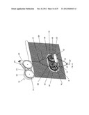 Aquaculture cage screen and cleaning apparatus diagram and image