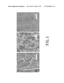 ELECTRODE FOR ELECTROCHEMICAL DEVICE AND METHOD FOR DETECTING HYDROGEN     PEROXIDE diagram and image