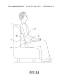 Cushion pad apparatus diagram and image