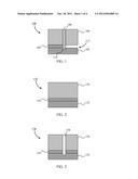 WAFER WITH RECESSED PLUG diagram and image