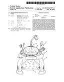 CHILD SUPPORT DEVICE WITH SEAT INSERT diagram and image