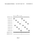 TIMING GENERATOR AND TEST APPARATUS diagram and image