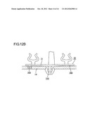 LAMP HOLDING TOOL, LIGHTING DEVICE FOR DISPLAY DEVICE USING THE SAME,     DISPLAY DEVICE USING THE SAME AND LIQUID CRYSTAL DISPLAY DEVICE USING     LIGHTING DEVICE FOR DISPLAY DEVICE diagram and image