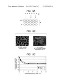 Plasma Sterilization Apparatus diagram and image