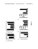 TARGETED CARRIERS FOR DRUG DELIVERY ACROSS THE GASTROINTESTINAL EPITHELIUM diagram and image