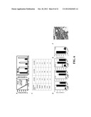 TARGETED CARRIERS FOR DRUG DELIVERY ACROSS THE GASTROINTESTINAL EPITHELIUM diagram and image