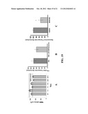 TARGETED CARRIERS FOR DRUG DELIVERY ACROSS THE GASTROINTESTINAL EPITHELIUM diagram and image