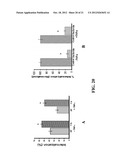 TARGETED CARRIERS FOR DRUG DELIVERY ACROSS THE GASTROINTESTINAL EPITHELIUM diagram and image