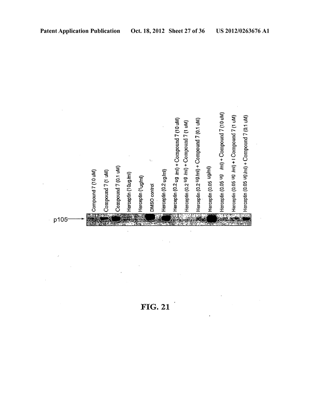 COMPOSITIONS, METHODS AND KITS RELATING TO HER-2 CLEAVAGE - diagram, schematic, and image 28