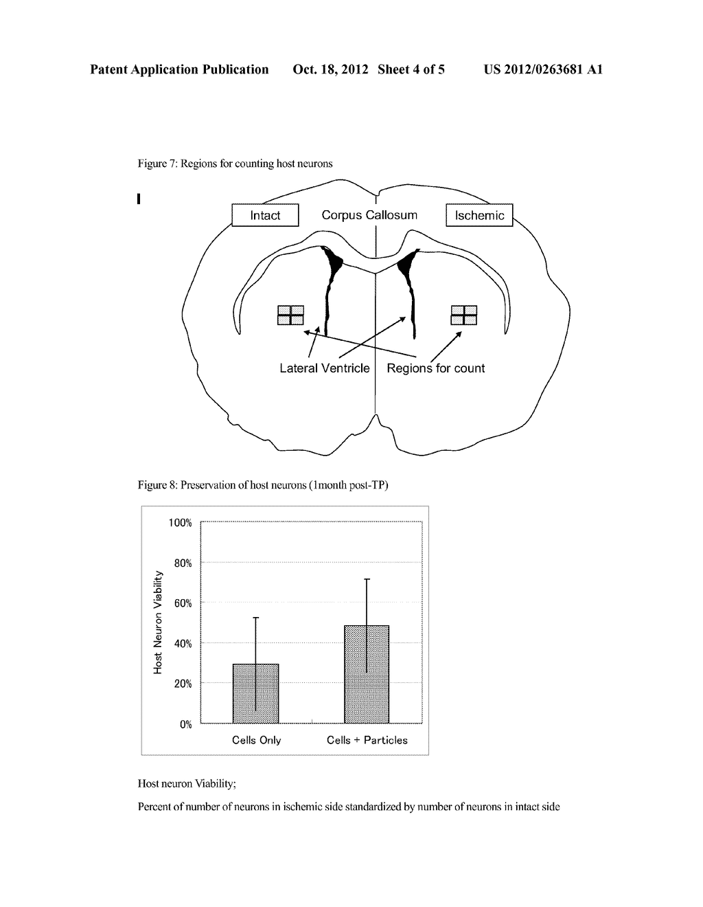 COMPOSITION COMPRISING CELL AND BIOCOMPATIBLE POLYMER - diagram, schematic, and image 05