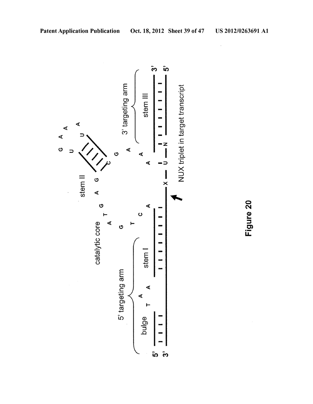 MODULAR APTAMER-REGULATED RIBOZYMES - diagram, schematic, and image 40