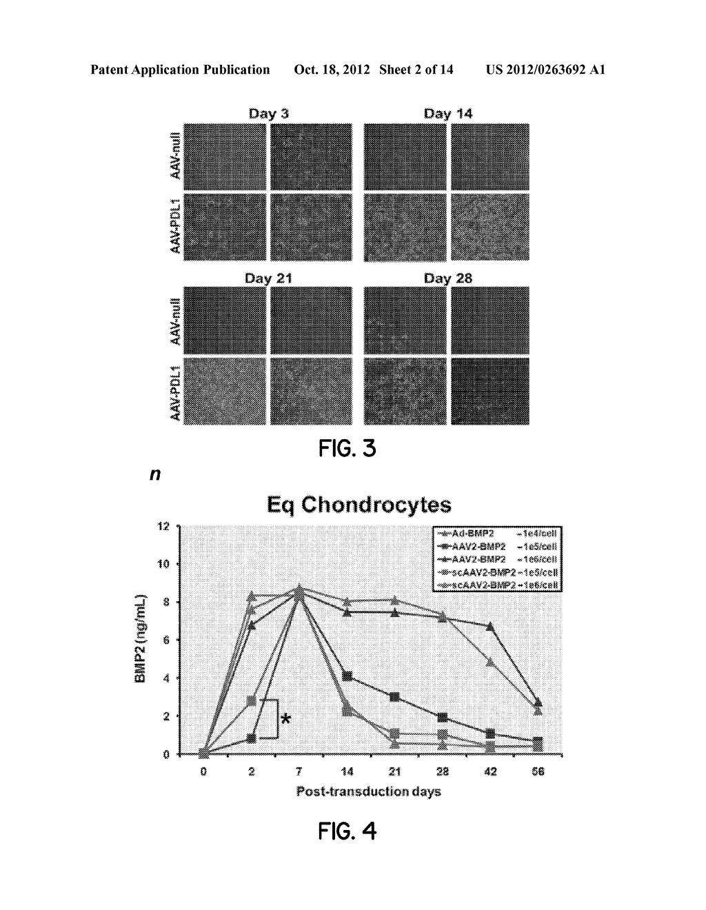 Engineered Xenogeneic Cells for Repair of Biological Tissue - diagram, schematic, and image 03