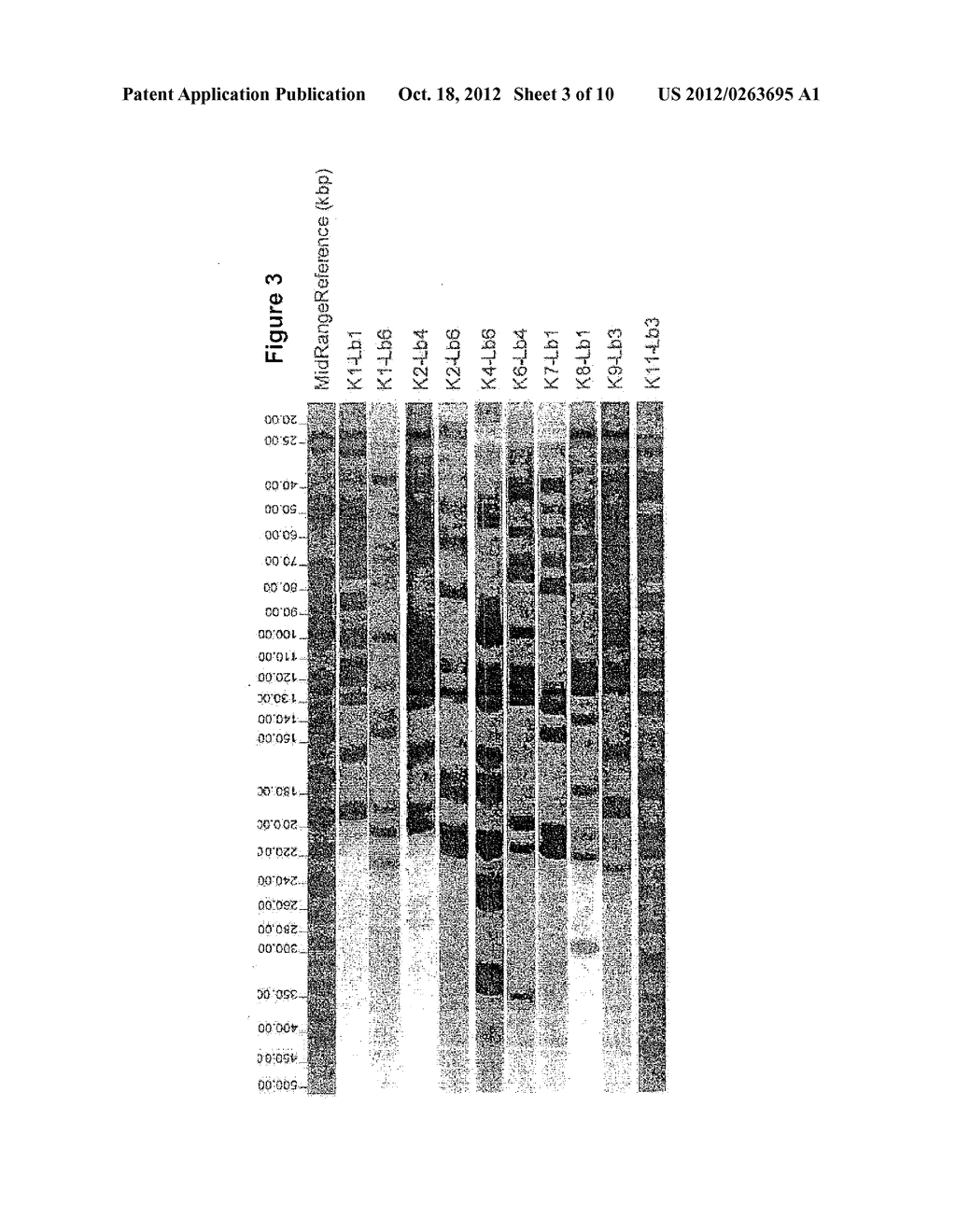 COMPOSITION HAVING STRAINS OF LACTOBACILLUS FERMENTUM - diagram, schematic, and image 04